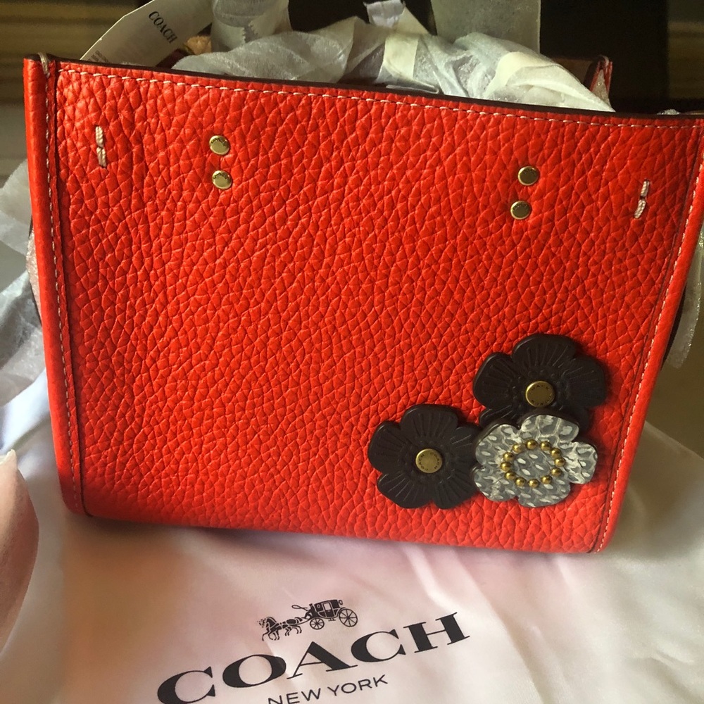 🌹 RARE Coach Rogue 17 with Custom Tea Roses